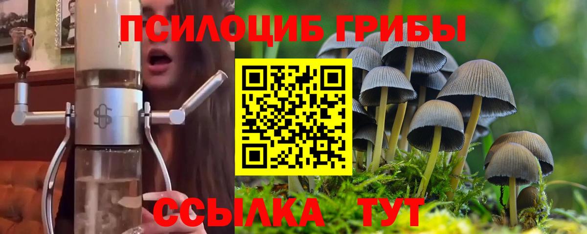 Галлюциногенные грибы мухоморы Чернушка